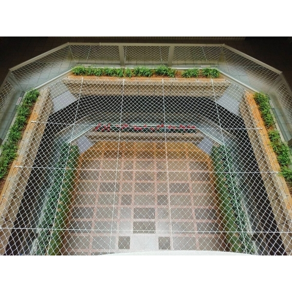 天井安全防墜網-東建安全網有限公司