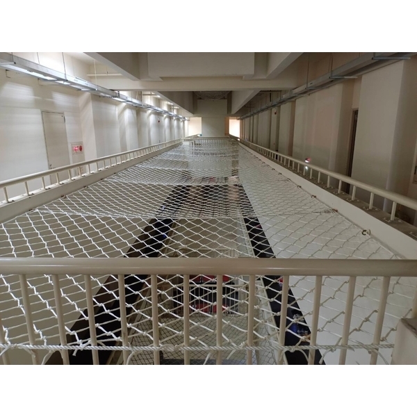 天井安全防墜網-東建安全網有限公司