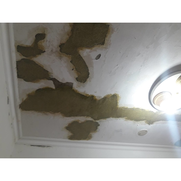 鋼筋外露，epoxy 樹脂砂漿批覆補強