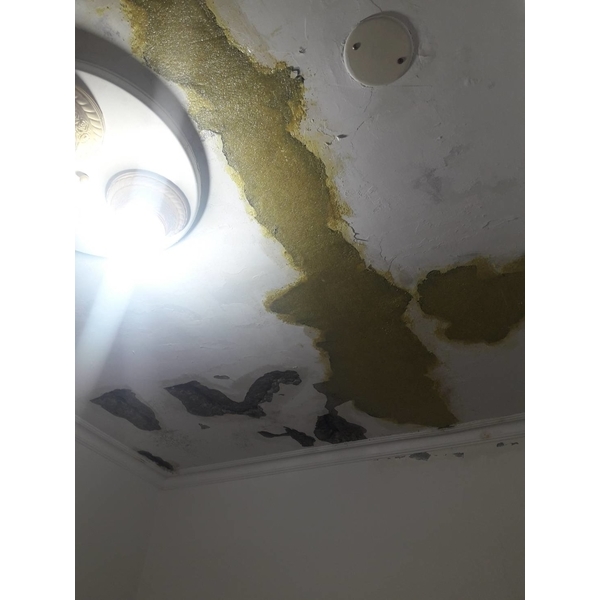 鋼筋外露，epoxy 樹脂砂漿批覆補強
