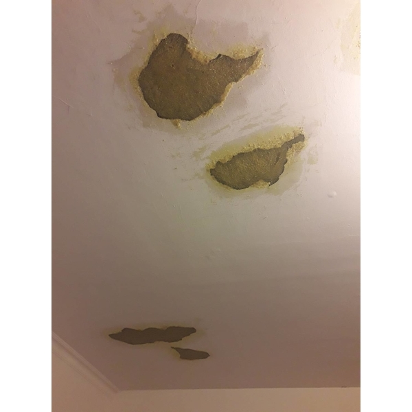 鋼筋外露,epoxy 樹脂砂漿批覆補強 鋼筋外露,epoxy 樹脂砂漿批覆補強