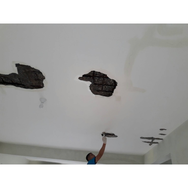 鋼筋裸露補強工程 鋼筋裸露補強工程