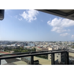 防貓墜樓網-家舒適科技有限公司