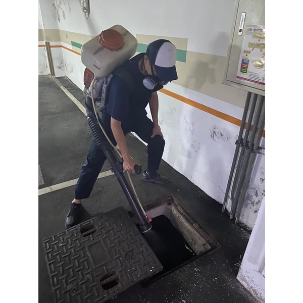 社區蚊蟲防治 社區蚊蟲防治
