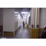 跳蚤防治 - 新頂企業有限公司