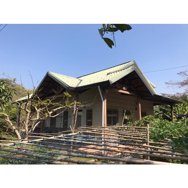 乾木白蟻防治-新頂企業有限公司