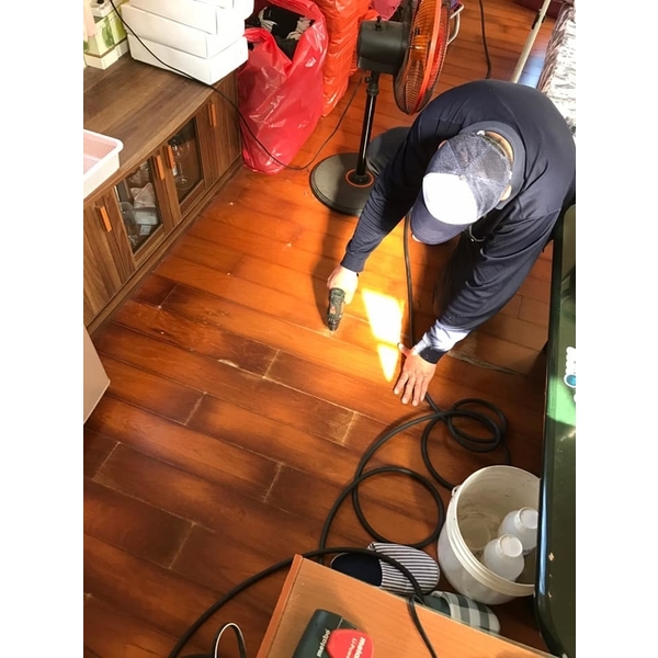 乾木白蟻防治 乾木白蟻防治