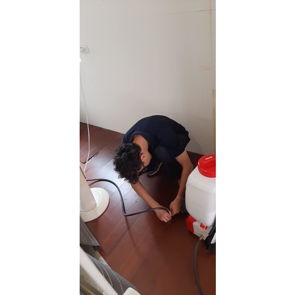 住辦1-3樓白蟻防治 住辦1-3樓白蟻防治
