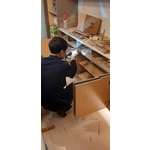 除白蟻 - 新頂企業有限公司