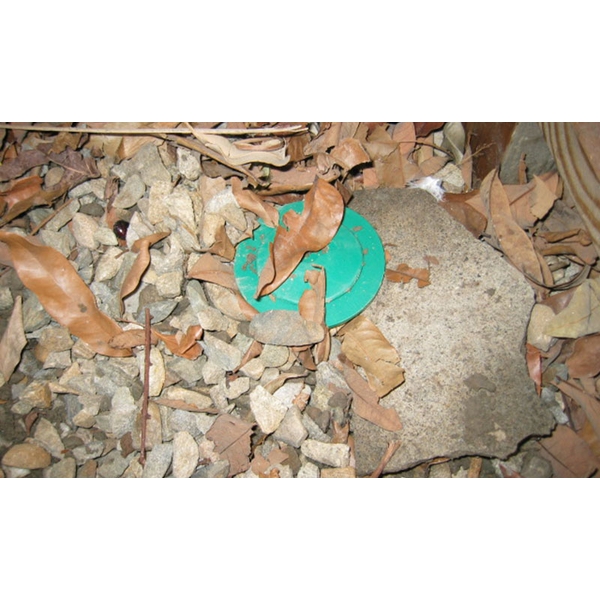 白蟻防治(白蟻誘引盒)