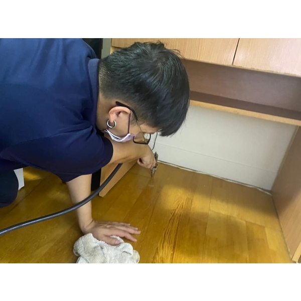 白蟻防治施工 白蟻防治施工