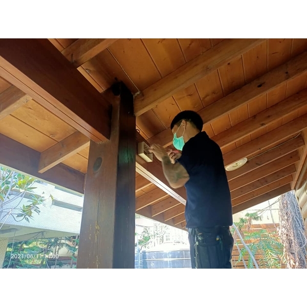 木屋白蟻防治