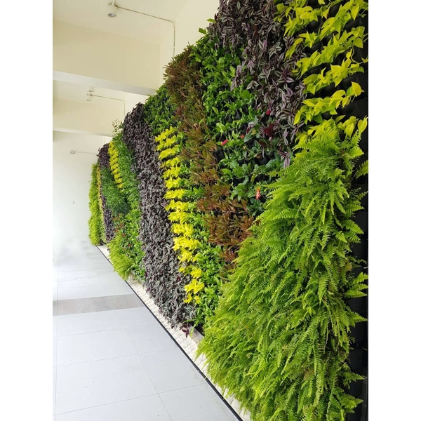 景觀綠牆設計-綠崧企業有限公司
