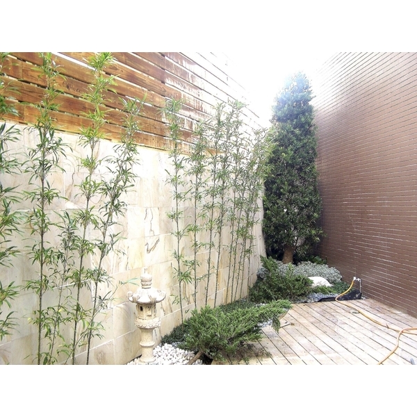 景觀工程設計-綠崧企業有限公司