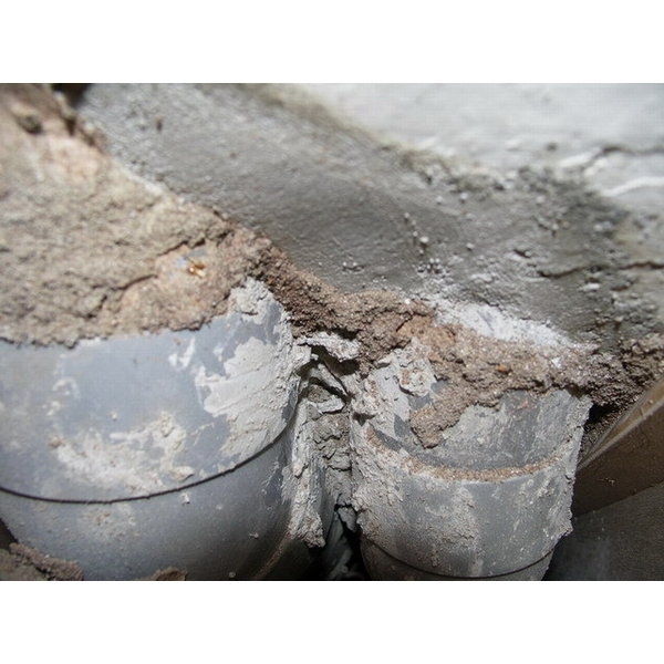 除白蟻-排水管路-保固除蟲消毒有限公司