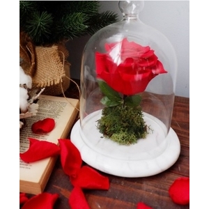 大理石永生花-新東大理石股份有限公司