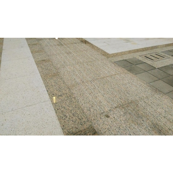 地坪-金彩麻-新東大理石股份有限公司