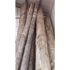 木樁-建昂有限公司