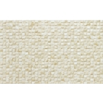 COTTO儷仕25x40cm TCO2431-北大欣股份有限公司