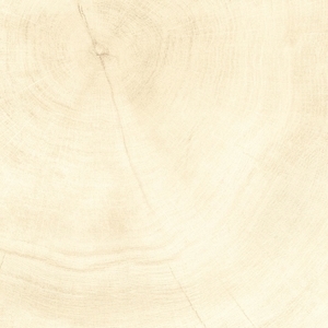 PDH年輪磚 PDH6681-北大欣股份有限公司