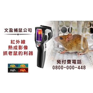 抓老鼠的利器-文盈蟲害防治企業社