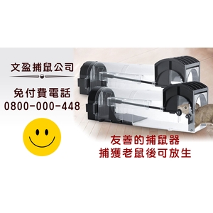 友善的捕鼠器-文盈蟲害防治企業社