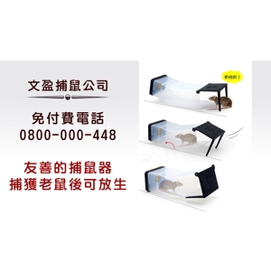 友善的捕鼠器-文盈蟲害防治企業社