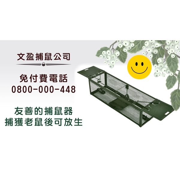 友善的捕鼠器