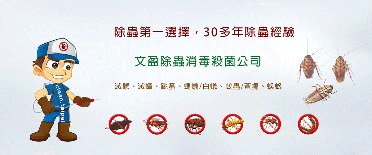 台北滅鼠專家推薦全台環境消毒守護環境衛生