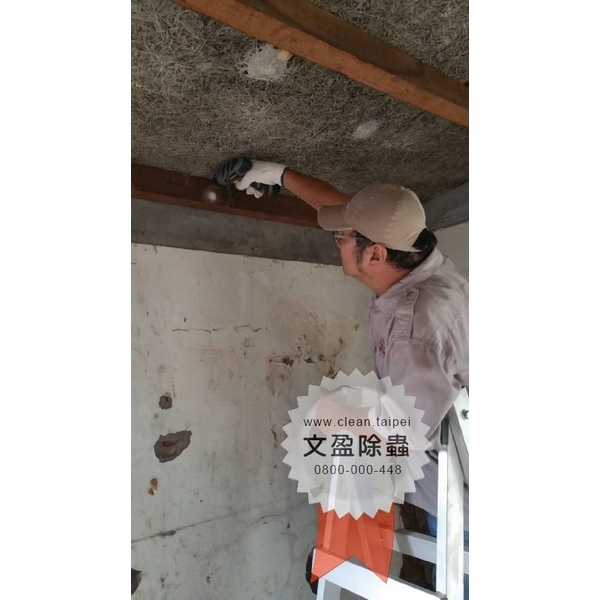 冠狀病毒肺炎環境消毒-文盈蟲害防治企業社