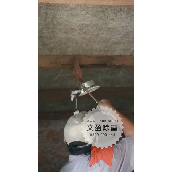 冠狀病毒肺炎環境消毒-文盈蟲害防治企業社