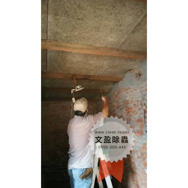 冠狀病毒肺炎環境消毒-文盈蟲害防治企業社