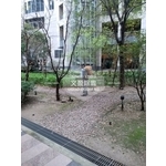 大樓.大廈.豪宅.除蟲環境消毒