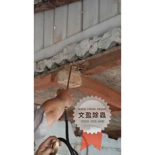 冠狀病毒肺炎環境消毒-文盈蟲害防治企業社