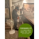 餐廳環境消毒除蟲-蟑螂.木蛀蟲.除蟲菊....