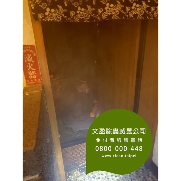 餐廳環境消毒除蟲-蟑螂.木蛀蟲.除蟲菊.螞蟻.除白蟻-文盈蟲害防治企業社
