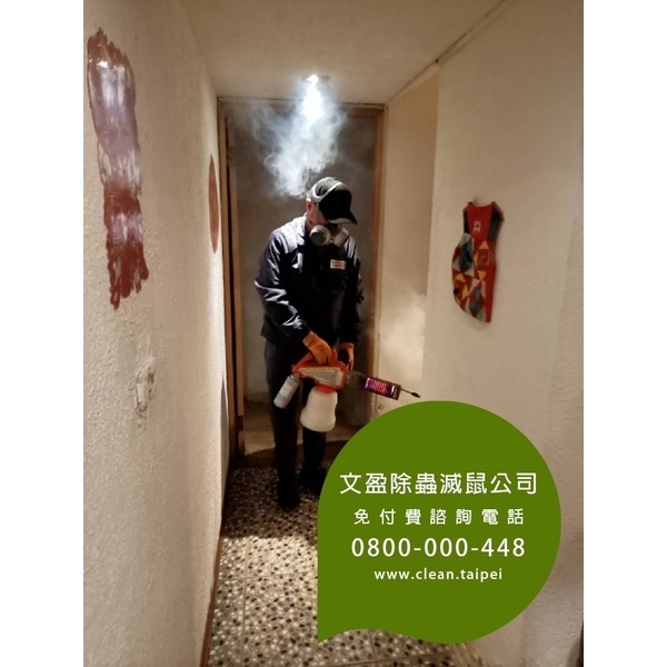餐廳環境消毒除蟲-蟑螂.木蛀蟲.除蟲菊.螞蟻.除白蟻-文盈蟲害防治企業社