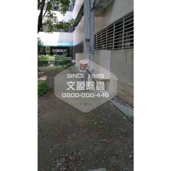 學校環境除蟲消毒-桃園