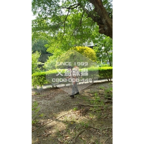 學校環境除蟲消毒-桃園-文盈蟲害防治企業社