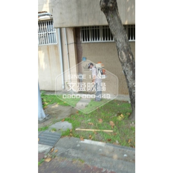 學校環境除蟲消毒-桃園-文盈蟲害防治企業社