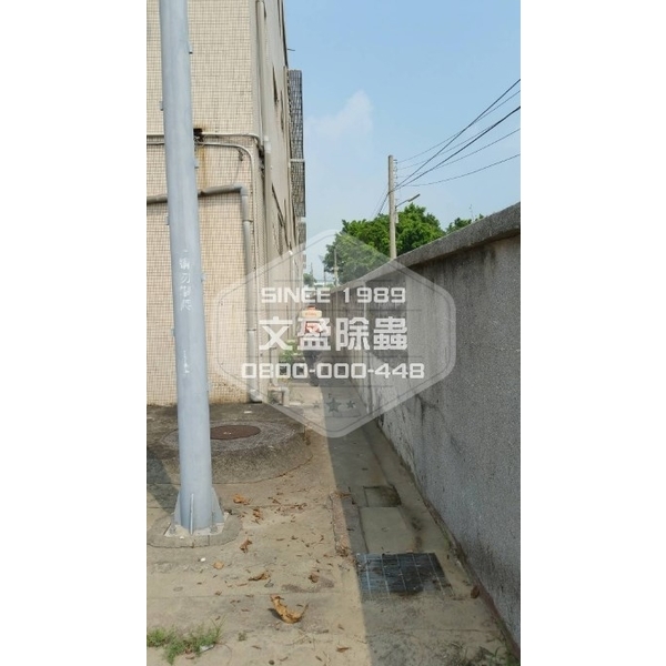 學校環境除蟲消毒-桃園-文盈蟲害防治企業社