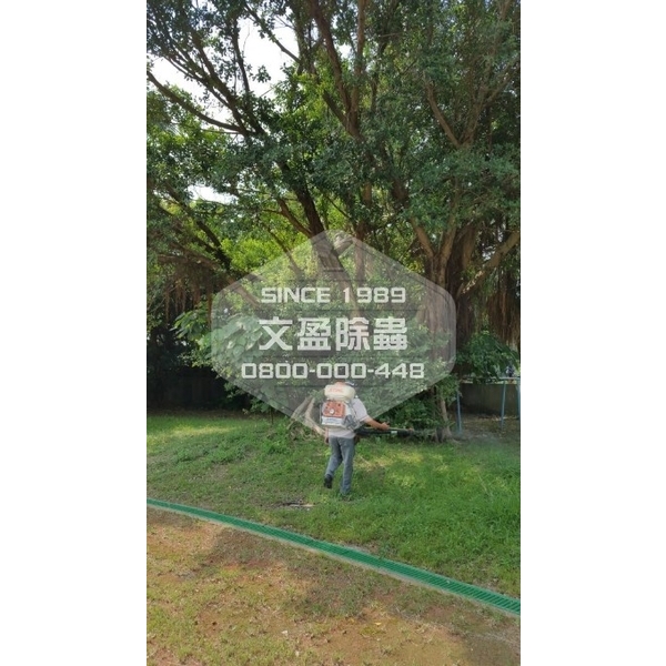 學校環境除蟲消毒-桃園-文盈蟲害防治企業社