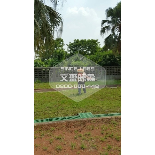 學校環境除蟲消毒-桃園-文盈蟲害防治企業社