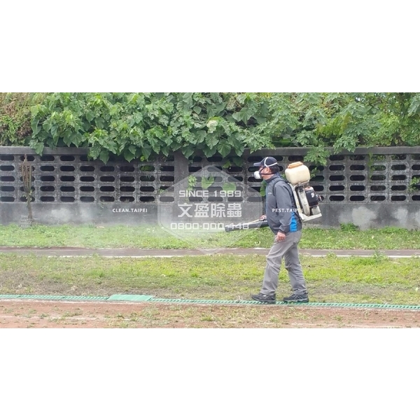 學校環境除蟲消毒.蜘蛛防治-文盈蟲害防治企業社