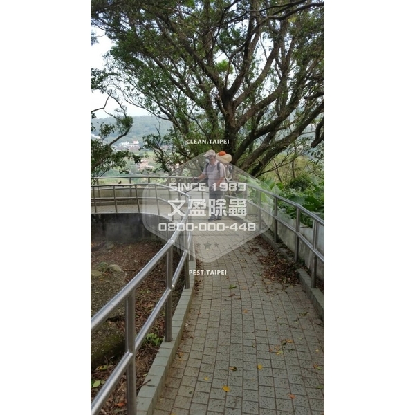 校園環境消毒.滅鼠.投藥-國家考場-文盈蟲害防治企業社