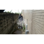 學校環境除蟲消毒.蜘蛛防治