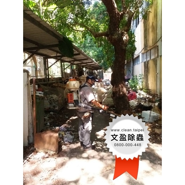 校園環境除蟲消毒-文盈蟲害防治企業社