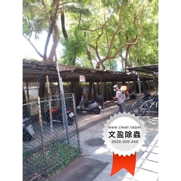 校園環境除蟲消毒-文盈蟲害防治企業社