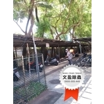 校園環境除蟲消毒