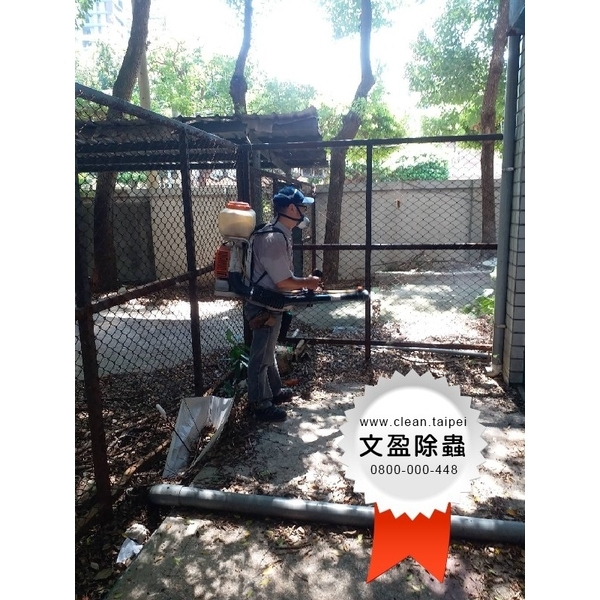 校園環境除蟲消毒-文盈蟲害防治企業社